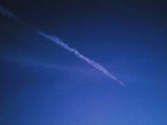 안녕, 사랑하는 나의 그대.