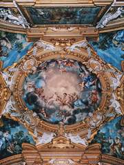 전지적 독자 시점