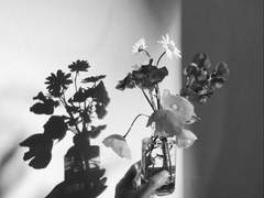 어떤 우정은 연애 같다