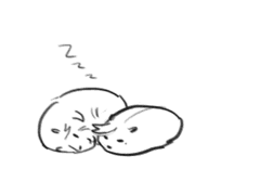 2020 맥솜연성 백업