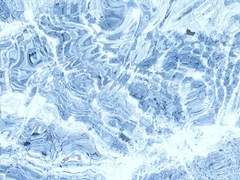 benign L. benevolent