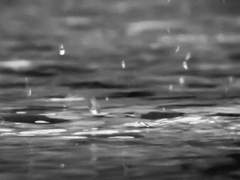 [계호지우] 나와는 다른 사람에게