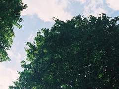 한 여름의 자전거