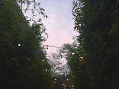 안녕을 고하는 법