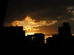 ※ P.B.D Profile ※