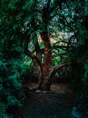 이런 영웅은 싫어