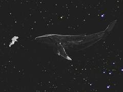 오늘도 빛나는 너에게