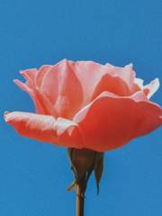 2021의 백오십개 글쓰기