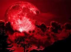 제 시한 / 불명 / Xy / 인간