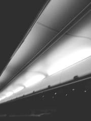 진실은 무엇인가.