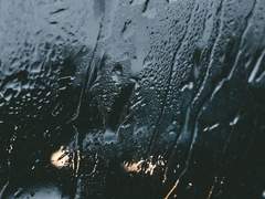 [웡낫] 내이름을불러줘