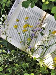 챤물의 습작노트