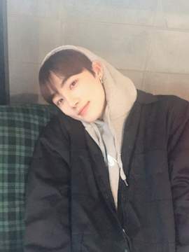 얼레벌레 더비일기