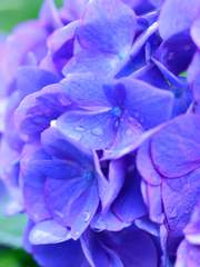 [전독시X내스급] 머지않을 멸망을 함께한다.