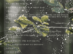 지새는달님 - 청문, 청명