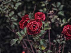 Stay out of the rain