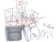 매일 아침마다 가 놀라는 이유