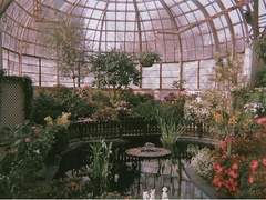 [중세락즈] 두통은 온실정원을 타고