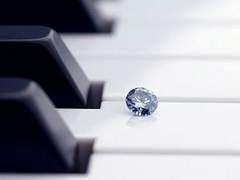 내 개새끼를 소개합니다-베토벤 편 (미완성)