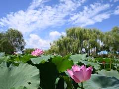 쨔 (@this_my_lover)