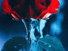 다만 악에서 구하소서 (危)