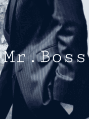 미스터보스