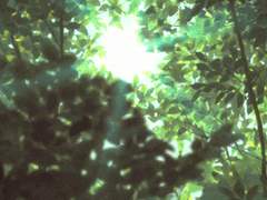 비연사애 13.네 생각에 잠 못 이루고