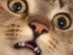 널 사랑할 수 밖에 2