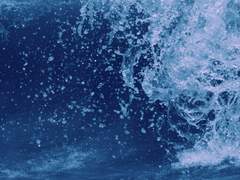 미안해요, 루비도.