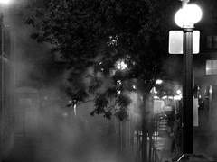 나는 네 거짓말을