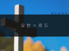 [요한로드] 요한 테일드는 강아지인가요?