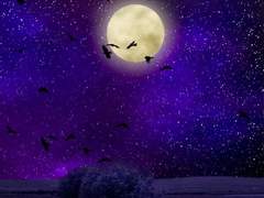 [하이큐 드림]마왕(魔王) -외전: 목표와 조준-