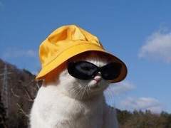 1월 4일 퓔굿 일기