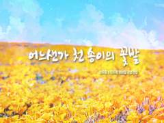 어느샌가 천 송이의 꽃밭