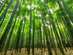 풍궁고 대신 전해드립니다 - 00