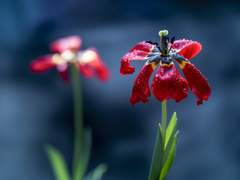 그 눈으로 뭐가 보이지?