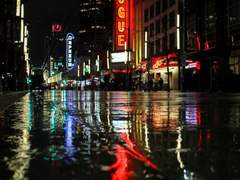 프린스 다이어리