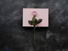 집필되지 않은 행복이 있을 거야.