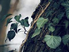 [혁켄] Blue Dream ㉔