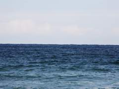 [각개전투조] 꿈