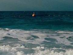 [한해현 / 2학년 / xy]