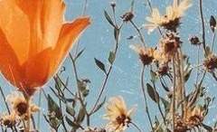 [동심의 화제] 세계관