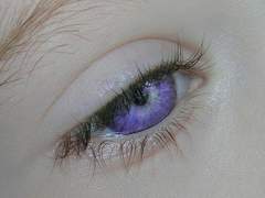 딜렘마(프롤로그)