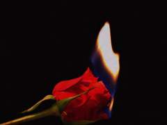 지키지 못할 약속 1편