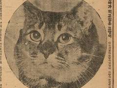 하루가 몇시간이더라