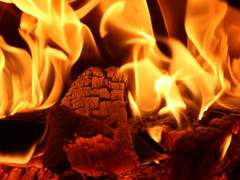 의심의 불은 커지고