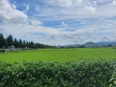 꽃의 죽음 外. IF 사계절 - 여름(5)