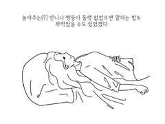 2020년 마지막 날