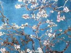 너무 한밤의 밀회