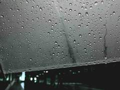 레이디버그 팬픽 - 우산.